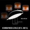 Texas Longhorns Neon Sign