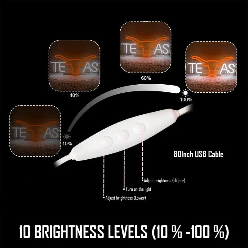 Texas Longhorns Neon Sign