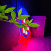 Boston Red Sox Baseball Neon Sign