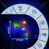 Corona Beer Parrot Neon Bar Sign