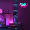 Cheshire Cat Neon Wall Light