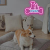 Pet Shop / Vet / Pet Groomer Open LED Neon Sign