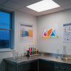 Laboratory Equipment Science Classroom LED Neon Sign