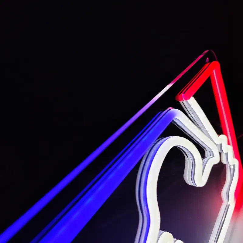 MLB Baseball Neon Light