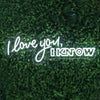 "I Love You, I Know" Wedding Backdrop LED Neon Sign