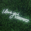 "I Love You, I Know" Wedding Backdrop LED Neon Sign