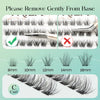 Individual Lash Clusters DIY Eyelash Extension