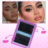 Segmented Lash Clusters - 60D-100D, 60P-200P