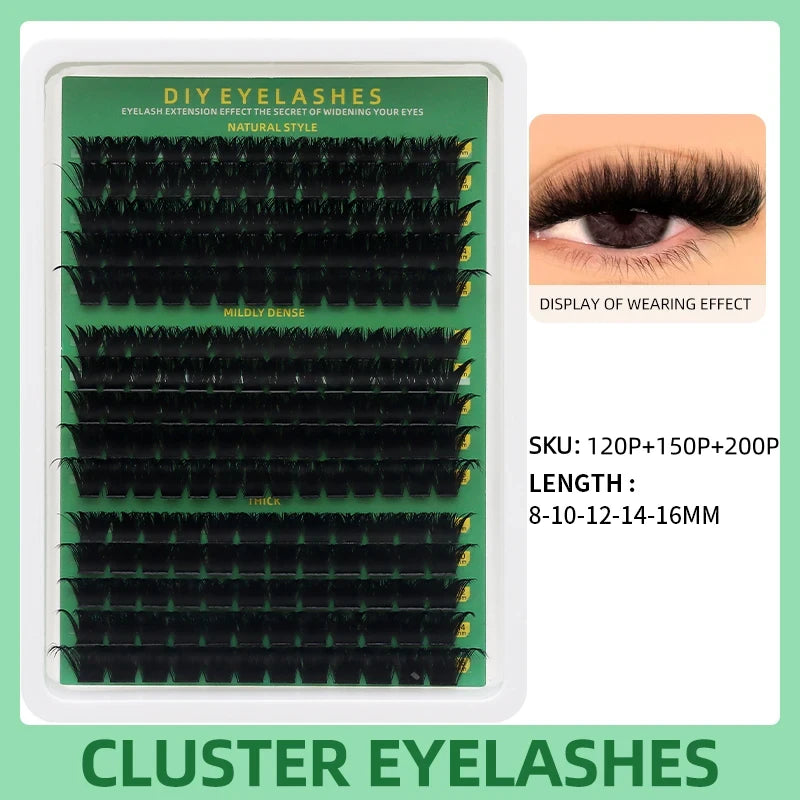 Segmented Lash Clusters - 60D-100D, 60P-200P