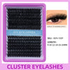 Segmented Lash Clusters - 60D-100D, 60P-200P