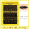 Segmented Lash Clusters - 60D-100D, 60P-200P