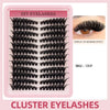 Segmented Lash Clusters - 60D-100D, 60P-200P