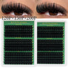 Segmented Lash Clusters - 60D-100D, 60P-200P