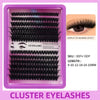 Segmented Lash Clusters - 60D-100D, 60P-200P