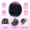 Segmented Lash Clusters - 60D-100D, 60P-200P