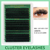 Segmented Lash Clusters - 60D-100D, 60P-200P