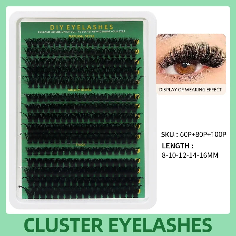 Segmented Lash Clusters - 60D-100D, 60P-200P