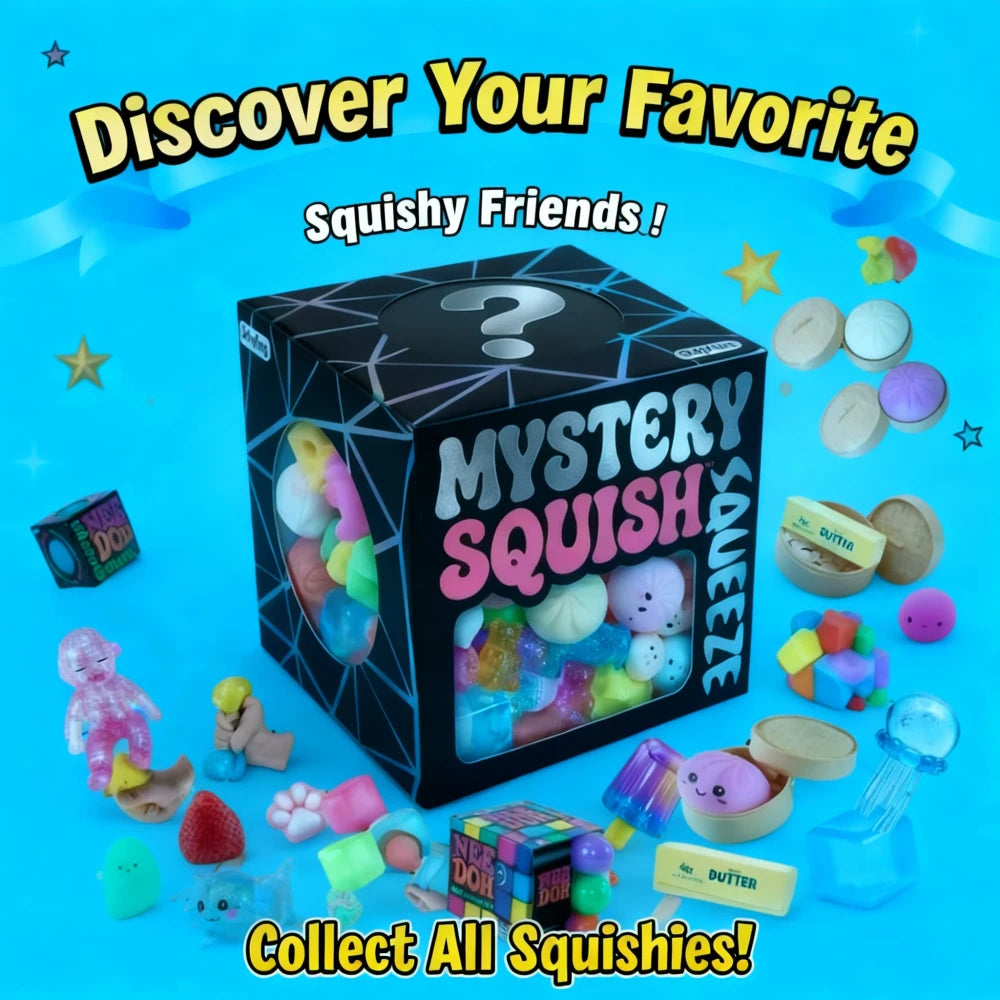 Blind Box Mystery Squishy Fidget Toy