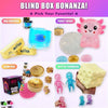 Blind Box Mystery Squishy Fidget Toy