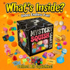 Blind Box Mystery Squishy Fidget Toy