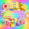 Blind Box Mystery Squishy Fidget Toy