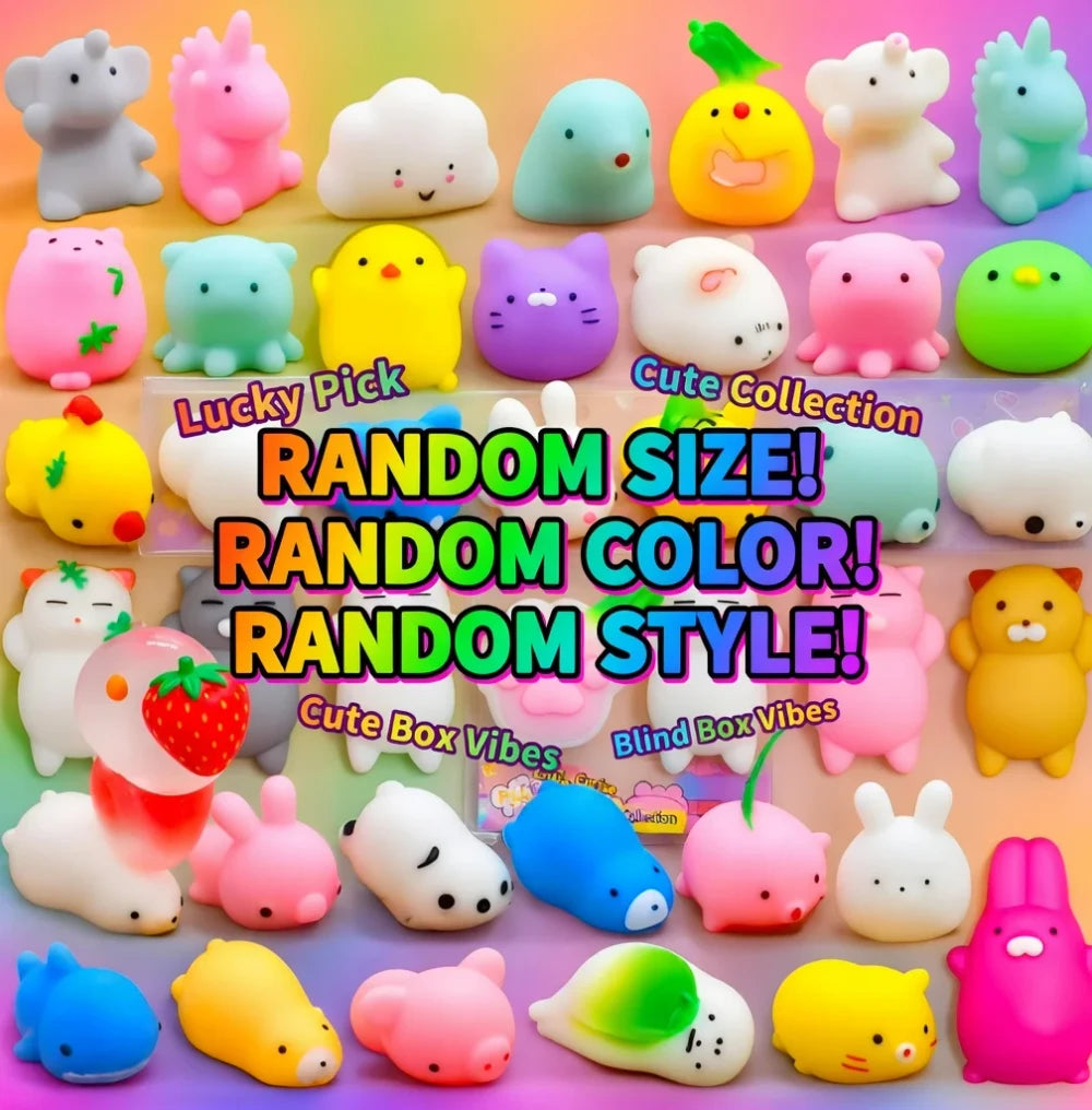 Blind Box Mystery Squishy Fidget Toy