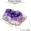 2 Piece Raw Amethyst Crystal Cluster Set