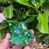 Green Halo Titanium Crystal Quartz Cluster