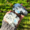 Raw Rainbow Moonstone Crystal