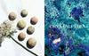 Crystalpedia Crystal Book Guide