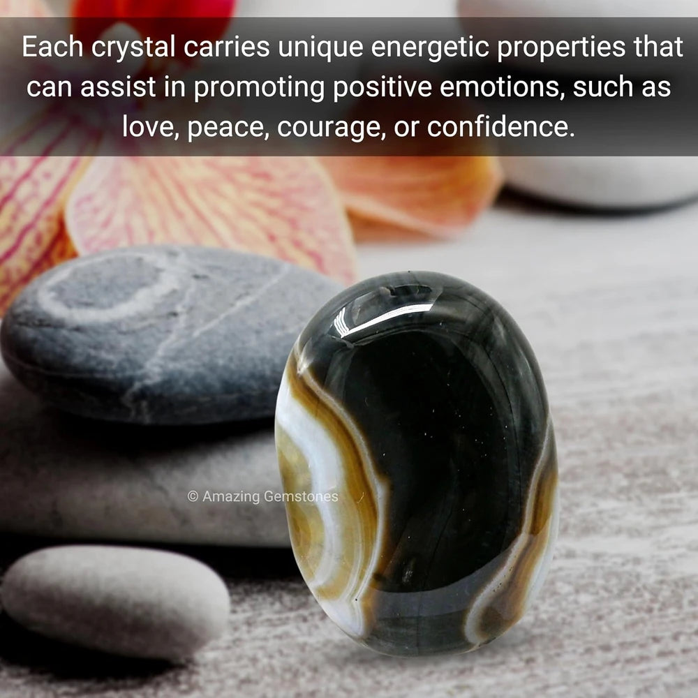 Large 45-50mm Black Onyx Crystal Palm Stone