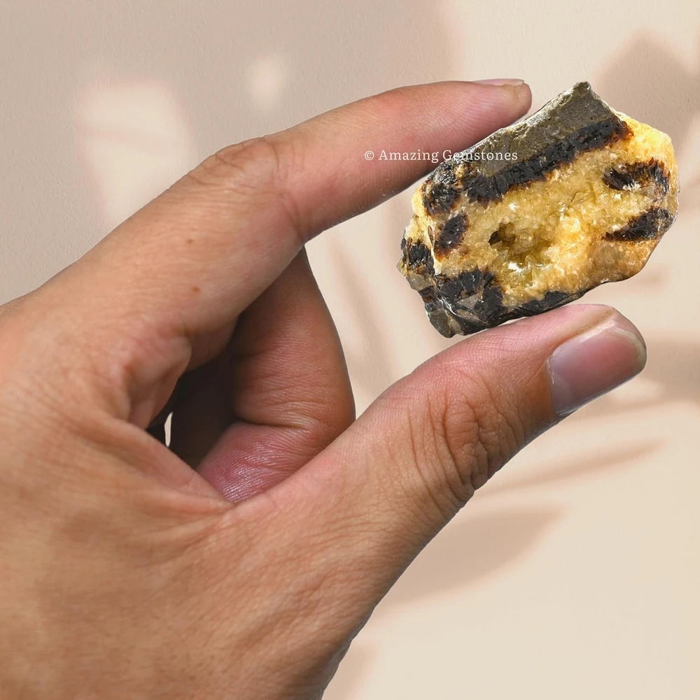 Raw Septarian Healing Crystal