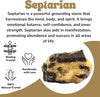 Raw Septarian Healing Crystal
